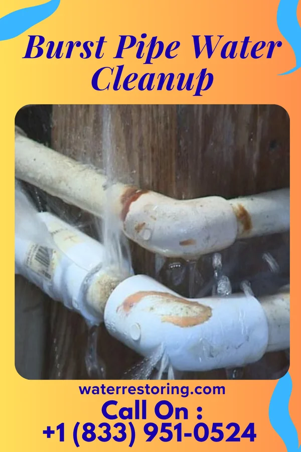 Burst Pipe Water Cleanup in Bel-Nor, MO