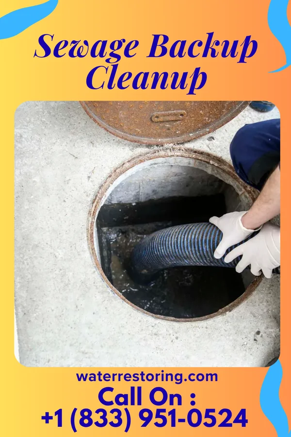 Sewage Backup Cleanup in Bel-Nor, MO